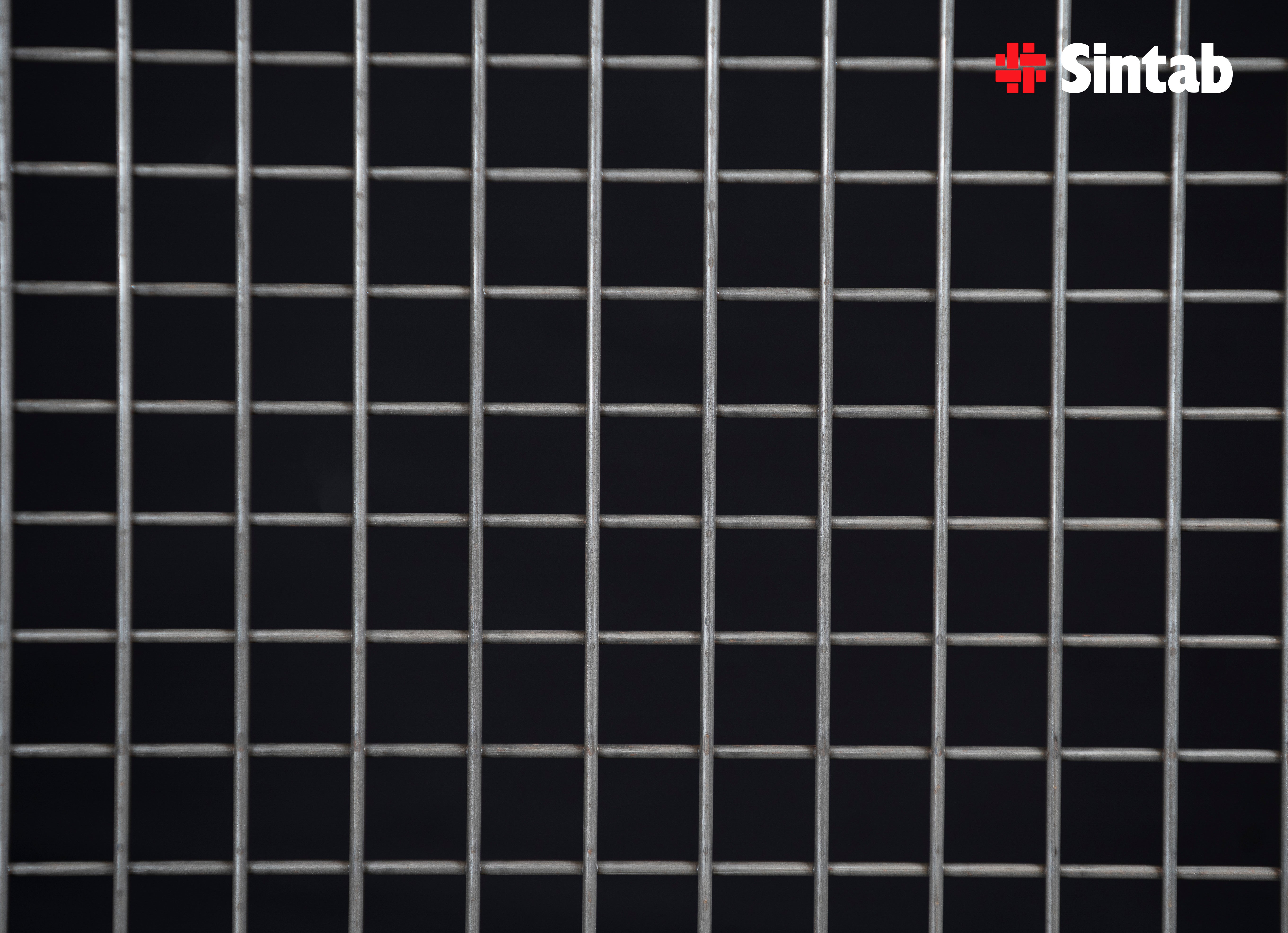 Galler obeh. stål svetsat 2000x1000 25/3mm